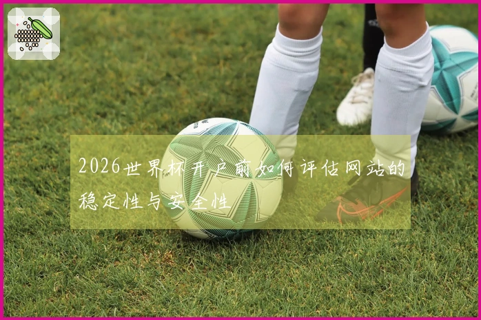 2026世界杯开户前如何评估网站的稳定性与安全性