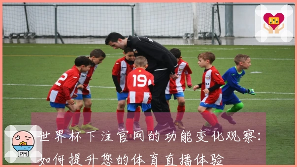 世界杯下注官网的功能变化观察：如何提升您的体育直播体验