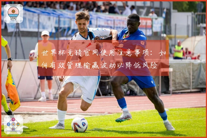 世界杯竞猜官网使用注意事项：如何有效管理输赢波动以降低风险
