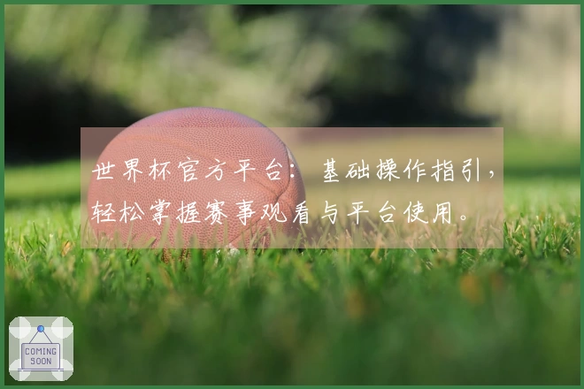世界杯官方平台：基础操作指引，轻松掌握赛事观看与平台使用。