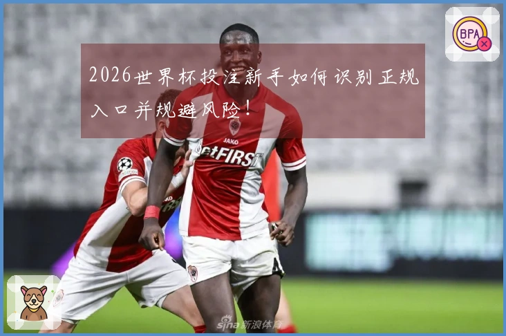 2026世界杯投注新手如何识别正规入口并规避风险！