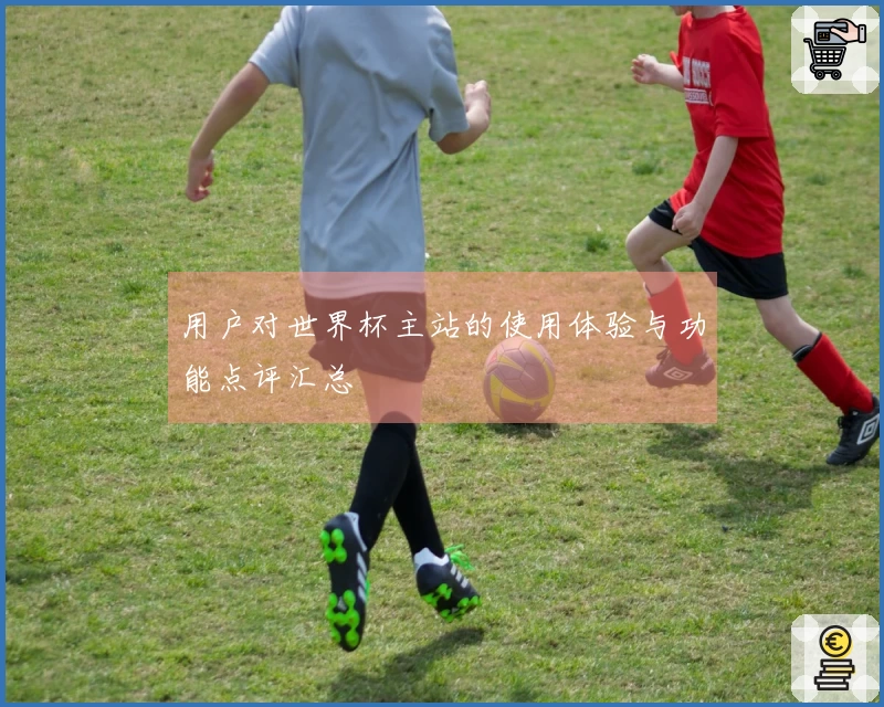 用户对世界杯主站的使用体验与功能点评汇总