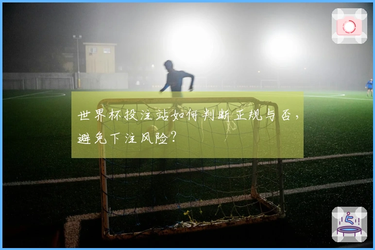 世界杯投注站如何判断正规与否，避免下注风险？
