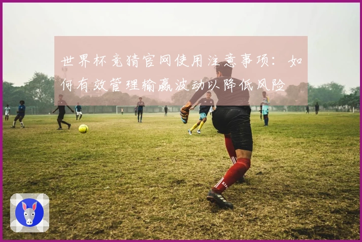 世界杯竞猜官网使用注意事项:如何有效管理输赢波动以降低风险