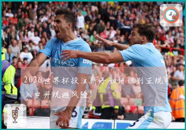 2026世界杯投注新手如何识别正规入口并规避风险！