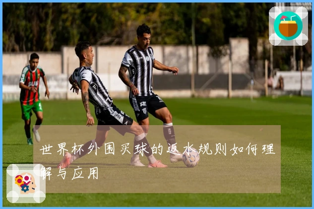 世界杯外围买球的返水规则如何理解与应用