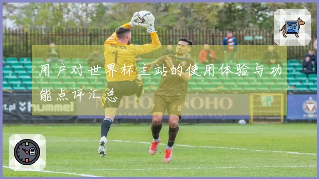 用户对世界杯主站的使用体验与功能点评汇总