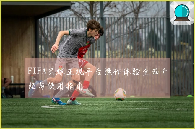 FIFA买球正规平台操作体验全面介绍与使用指南